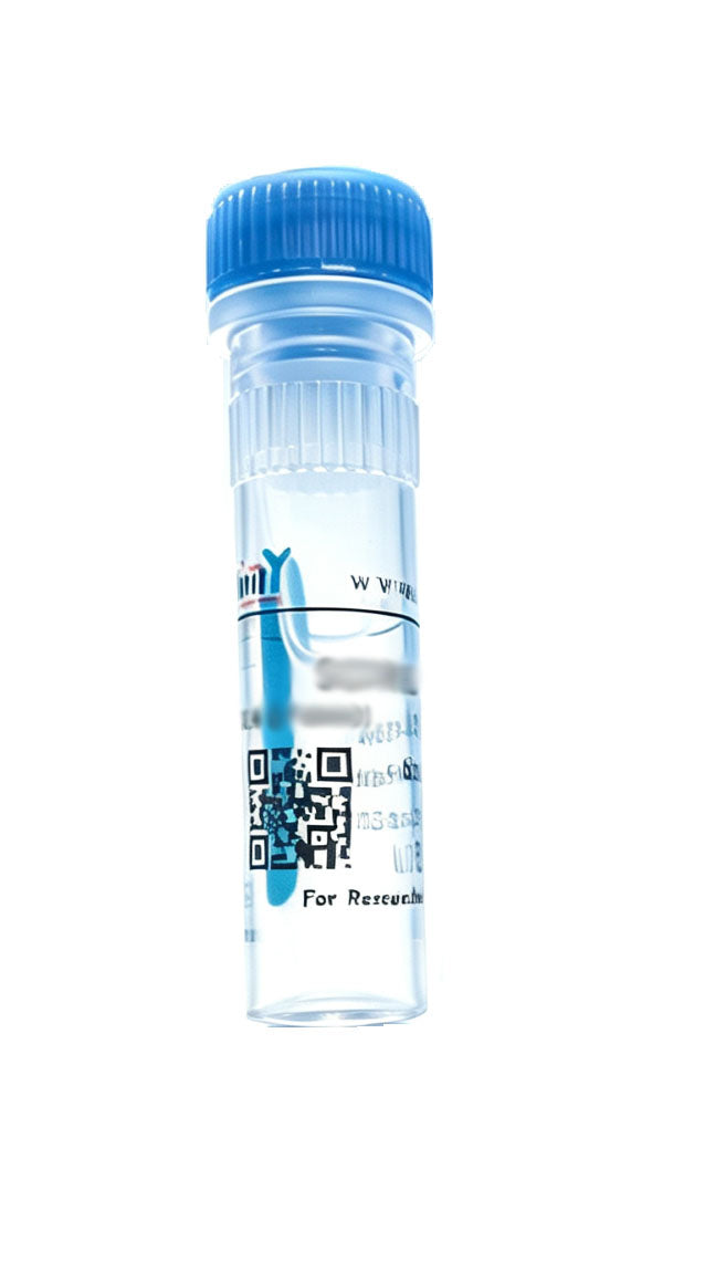 CAF1B Peptide - DF3255-BP