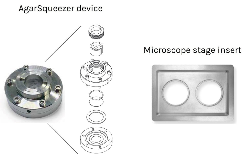 AgarSqueezer - Agarose-Based Cell Confiner - CRI-SOF