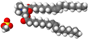 DOTAP (1,2-Di-(9Z-Octadecenoyl)-3-Trimethylammonium Propane Methylsulfate) - T010