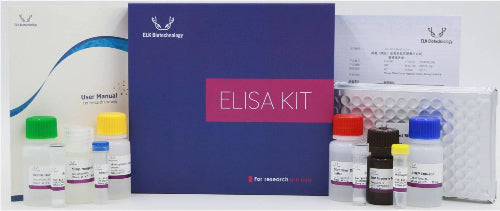 Human SARS-CoV-2 Nucleocapsid ELISA Kit -ECV001