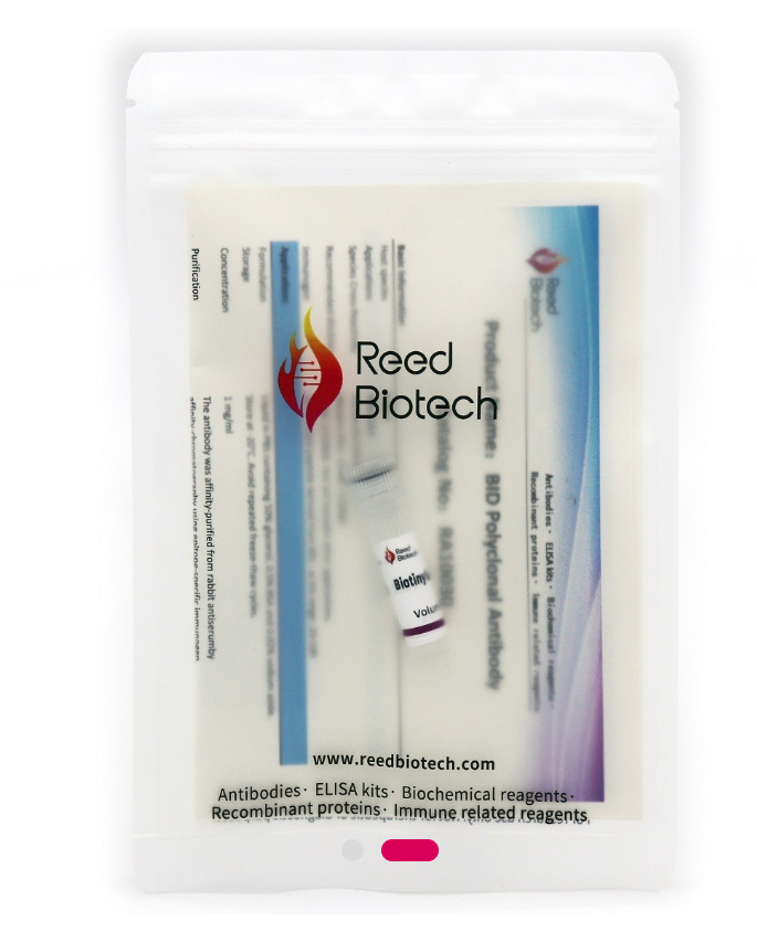 Phospho-ERK 1/2 (Y222/205)Mouse Monoclonal Antibody (4G3) - RA10644