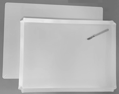 LABboards Single-use Disposable Laboratory Cutting Boards BLANK/NO PRINT - 100-Count Pack