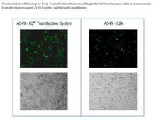 Load image into Gallery viewer, K2® Transfection System - DNA &amp; RNA Transfection - T060