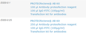PROTEOfectene® AB - Proteofection Reagent for Antibodies - E020
