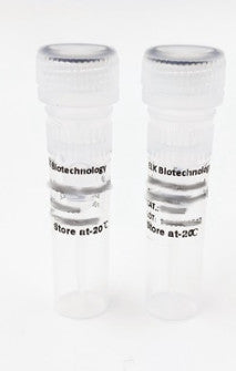 BAGE5 Rabbit Polyclonal Antibody - ES3791