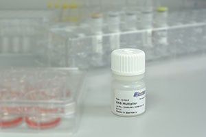 K4® Multiplier - Transfection Enhancer - T082