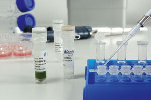 MycoSPY® Master Mix - PCR Mycoplasma Test Kit - M020