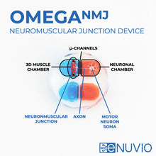 Load image into Gallery viewer, OMEGA-NMJ - Neuromuscular Junction Device