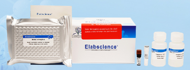 Succinate Dehydrogenase (SDH) Activity Assay Kit - E-BC-K649-M