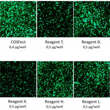 Load image into Gallery viewer, COSFect Transfection Reagent