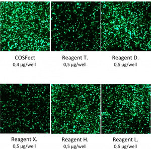 COSFect Transfection Reagent