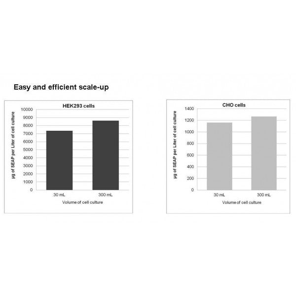HYPE-5 Transfection Kit