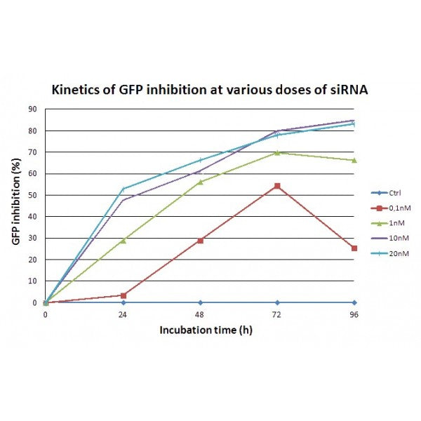 Lullaby Transfection Reagent