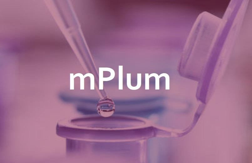 Tailored Lenti-mPlum All-In-One Packaging Kit (10x100mm plate)