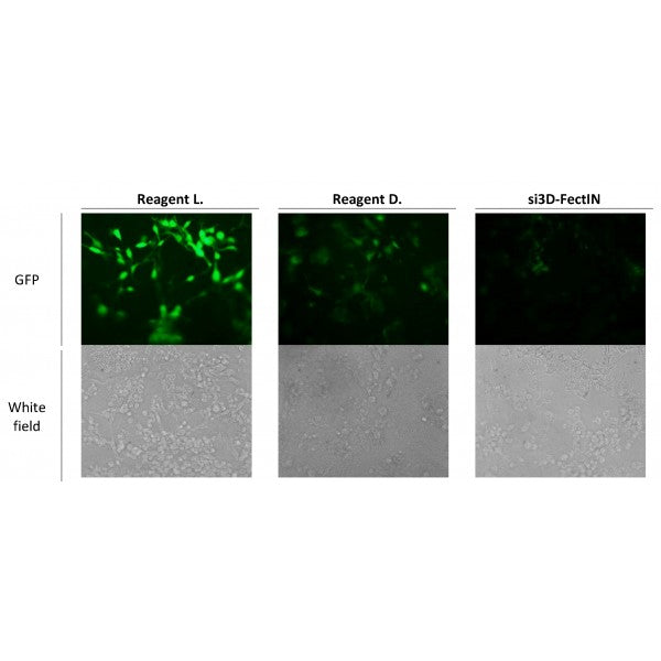 si3D-FectIN™ 3D Transfection Reagent