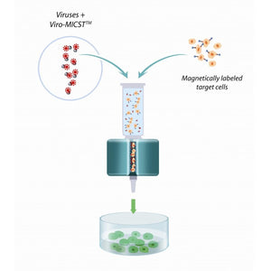 Viro-MICST Transduction Reagent