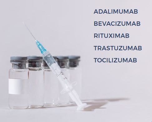 Spotlight on AffinityImmuno Anti-Idiotype Antibodies