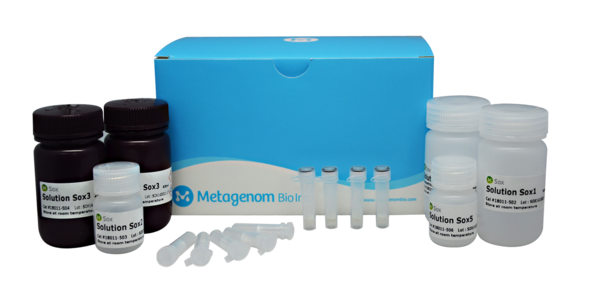 Improved DNA Extractions From Diverse Environmental Sample Types to Identify Microbial Communities - Sox DNA Extraction Kit