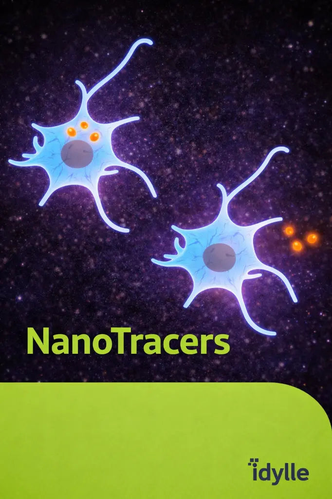 NanoTracers - Fluorescent Organic Nanoparticles for Single-Particle Tracking - IDY-NT