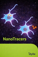 Load image into Gallery viewer, NanoTracers - Fluorescent Organic Nanoparticles for Single-Particle Tracking - IDY-NT