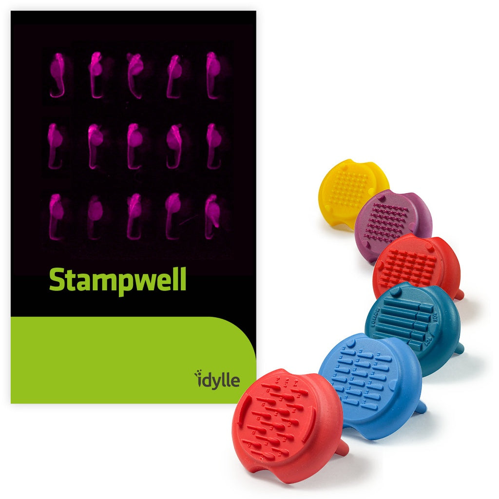 Stampwell Z - Zebrafish Imaging - GRE-MOU
