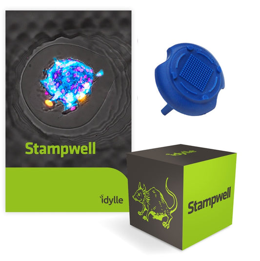 Stampwell U-Shape - For the Creation of an Array of U-Shaped Microwells In Hydrogels to Easily Grow Spheroids - GRE-MOU-U