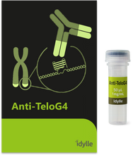 Load image into Gallery viewer, Anti-TeloG4 - Antibody Against the Telomeric G-quadruplex -