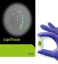Load image into Gallery viewer, LipiTrace - Fluorescent Marker for Lipid Droplets - IDY-LIPI-250