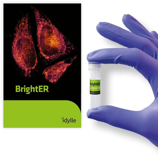 BrightER - Nanostructured Glass Coverslips for Cell Culture and Isolated Membranes - RGA-RET