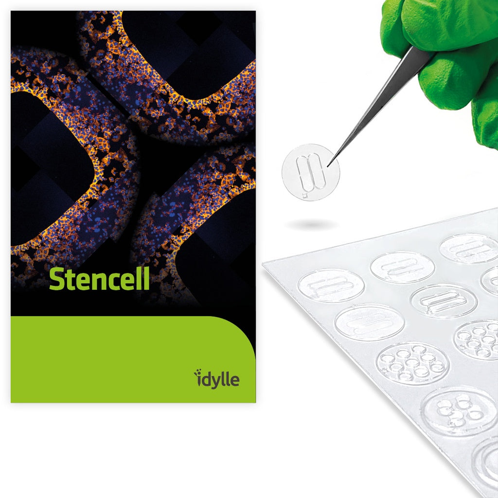Stencell - Removable PDMS Cell Culture Chambers - STU-STE