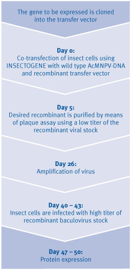 INSECTOGENE - Transfection Reagent for Insect Cells - T030