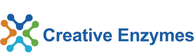 Creative Enzymes
