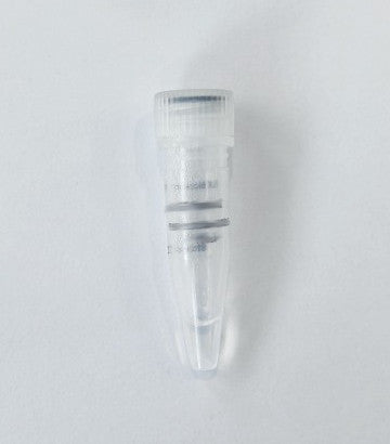 Recombinant Human PDGF-BB - EPT197