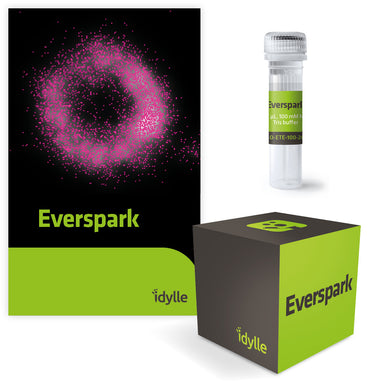 Everspark - Super-Resolution Microscopy Mounting Buffer - KMO-ETE