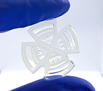 3-in-1™ Plate - Hydrogel-Based Culture Plate Insert - 3N1-APRCL