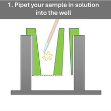 Load image into Gallery viewer, LabelEase - Labeling Device for Small Biological Samples - IDY-LE
