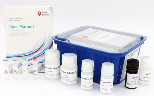 17-OHP (17-Hydroxyprogesterone) ELISA Kit - RE10139