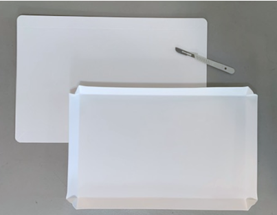 LABboards Single-use Disposable Laboratory Cutting Boards BLANK/NO PRINT - 100-Count Pack