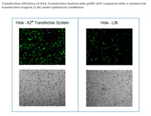 Load image into Gallery viewer, K2® Transfection System - DNA &amp; RNA Transfection - T060