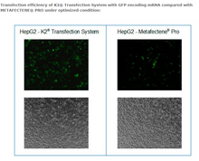 Load image into Gallery viewer, K2® Transfection System - DNA &amp; RNA Transfection - T060