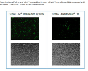 K2® Transfection System - DNA & RNA Transfection - T060