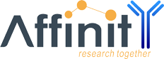 FOXO4 Blocking Peptide - AF7841-BP