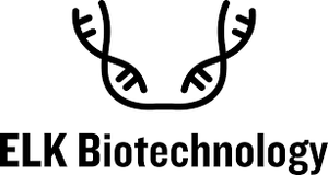 SYK (Phospho-Tyr348) Antibody - ES8875
