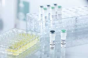 METAFECTENE® EASY+ - DNA Transfection Reagent - T090