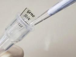 Gene StixTM DNA Recovery Kit- Box of 10 x Gene StixTM + Associated Plastic Parts + Extra Buffer - CS-100