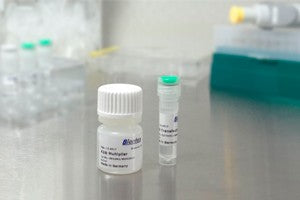 K2® Transfection System - DNA & RNA Transfection - T060