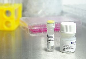 K4® Transfection System - DNA & RNA Transfection - T080