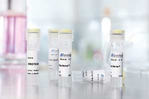 PROTEOfectene® - Proteofection Reagent - E010