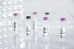 METAFECTENE® SI+ - siRNA & miRNA Transfection Reagent - T100