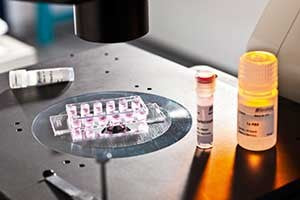 µ-Transfection Kit VI FluoR - Microfection Kit - K020-0.1